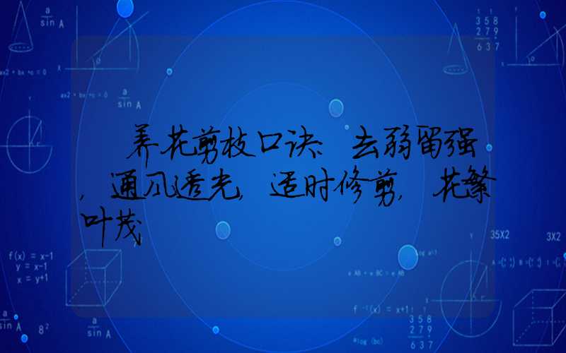  养花剪枝口诀：去弱留强，通风透光，适时修剪，花繁叶茂